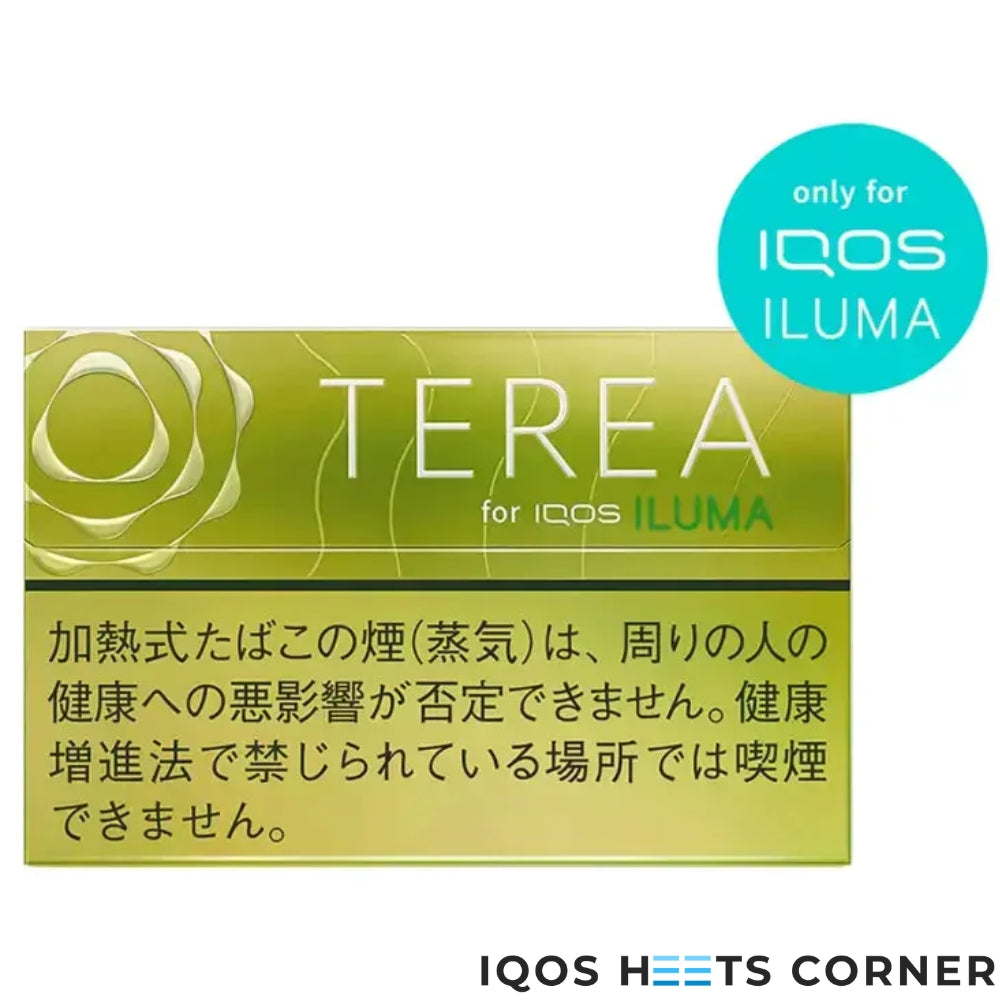 Heets TEREA Bright Menthol Sticks For IQOS ILUMA Device